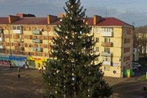 У місті на Волині новорічну ялинку цьогоріч встановлять на новому місці  