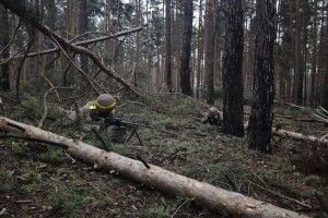 В січні росіяни можуть спробувати зайти на Волинь: польський експерт назвав три сценарії розвитку війни взимку