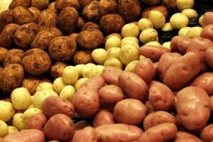 Україна імпортує картоплю з Молдови, а експортує на Балкани і в Білорусь