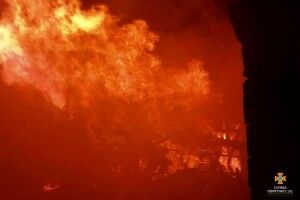 У дачному будиночку згоріли троє людей