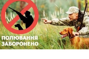 На Волині попереджають мисливців: полювання – заборонено!