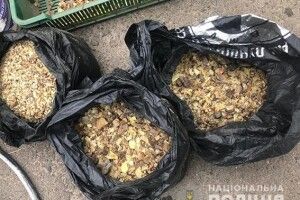 Розпочато широкомасштабний наступ на бурштинокопачів Рівненщини (Фото)