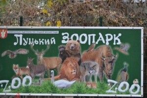 У Луцькому зоопарку висадили 2 тисячі тюльпанів