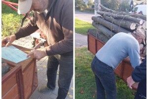 У Луцьку в парку «на гарячому» спіймали чоловіка, який різав дрова на зиму (Фото)
