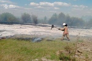На Ковельщині вигоріло три гектари сухої трави