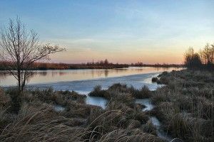 Волинським школярам розповіли про значення Всесвітнього дня водно-болотних угідь