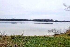 Після літа в Шацьких озерах нарешті почав підніматись рівень води