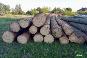 На Рівненщині нарубали лісу на понад мільйон гривень