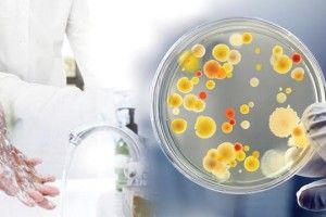 У луцькому кафе отруїлись салатом з куркою