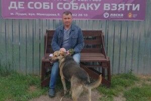 У Луцьку собаче щастя вхопило за хвіст грізного собацюру Боя (Фото)