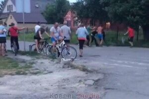 У Ковелі біля ліцею виникла бійка з поліцейськими