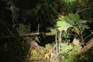 Волинянин впав у яму і не міг вибратися