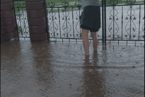 У селі на Рівненщині вдруге за тиждень затоплює подвір’я й городи (Відео)