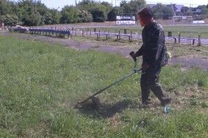 На знищення борщівника у Луцькій громаді виділили 100 тисяч гривень (Відео)