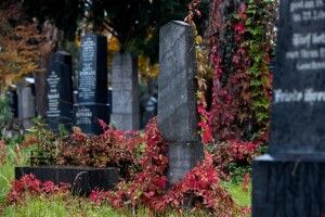 Підлітки «сходили в туалет» на пам’ятники померлих і зняли це на камеру (Відео)
