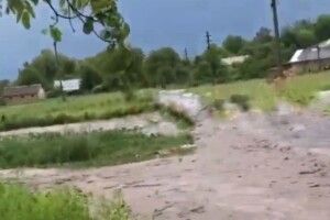 Городи та дороги перетворились у річки: село на Рівненщині затопило після дощу (Відео)