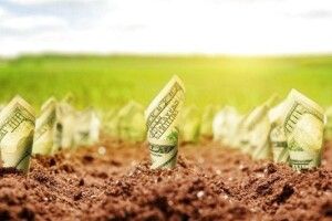 Вікторія Сюмар: «Зеленський хоче розпродати землю за безцінь, щоб залатати дірки в бюджеті»