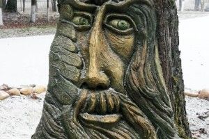 На стовбурі вікового дуба – людське обличчя