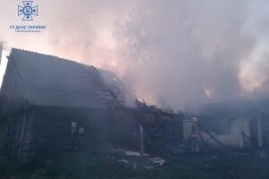 На Волині під час гасіння пожеж знайдено двоє загиблих