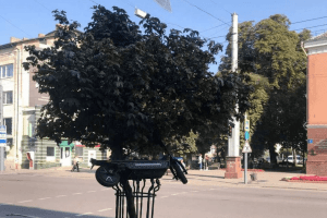 У середмісті Луцька посеред білого дня знайшли повішеним на дереві електросамокат