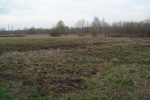 На Волині прокуратура вимагатиме передачі ніким не успадкованих земельних ділянок у власність громади