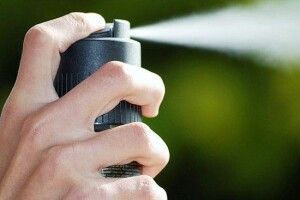 У Ківерцівському районі поліція розслідує незаконну порубку лісу та опір лісовій охороні