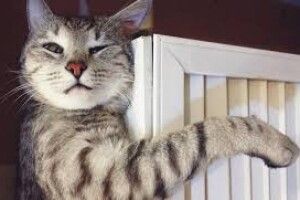 Скільки лучанам нарахували за опалення в жовтні