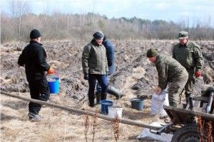На Ківерцівщині  шумітимуть діброви
