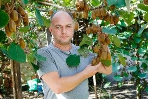 І в українських садках можуть рости… ківі