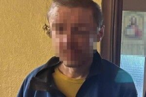 У Києві алконавт викинув з вікна квартири на сьомому поверсі кішку та чотирьох кошенят