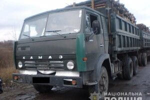 На Рівненщині поліцейські вилучили вантажівку із майже 20 кубами незаконної деревини 