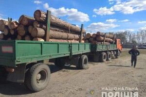 У Ковелі поліцейські затримали вантажівки з нелегальним піском та деревом