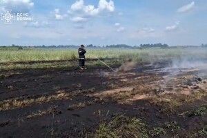 Тліє п'ятий день: у Луцькому районі гасять масштабне торфовище