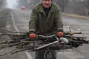 Волинянам можуть дозволити збирати у лісі хмиз