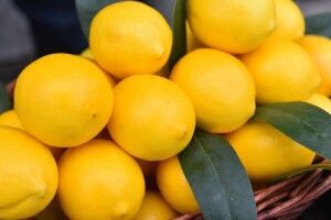 Чому в Україні подешевшали лимони