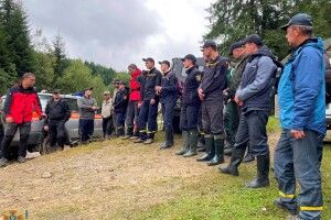 Шість днів тому чоловік пішов у ліс по гриби – з того часу його ніхто не бачив (Фото)