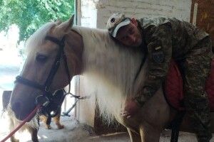 Волинських ветеранів запрошують на реабілітацію з допомогою коней