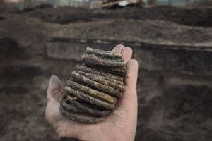 Заховав від Батия 800 років тому: на Волині археологи завершили дослідження «Скарбу купця»