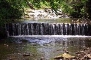 Легковик впав у річку, водій загинув