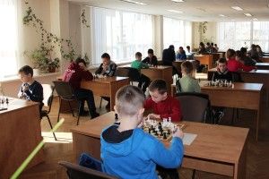 У бібліотеці «побилися» слони та коні
