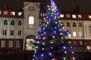 У Луцьку прикрасили і засвітили першу ялинку 