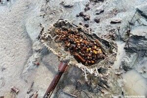 На Рівненщині два брати організували незаконний видобуток бурштину