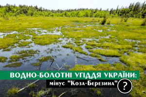 Болото або торф: на Волині підприємство може знищити унікальні угіддя