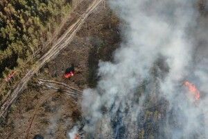 На Рівненщини сталася масштабна пожежа в лісі (Фото)