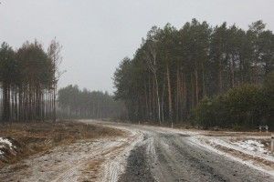 У минулому році на Волині збудували та відремонтували 83 кілометри лісових доріг