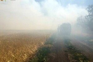 Війська РФ обстріляли Миколаївщину. Згоріли десятки гектарів пшениці
