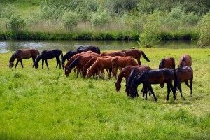 Погода на суботу, 15 серпня: Степан розкаже, яким буде вересень