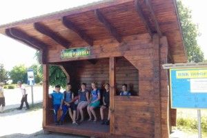 Волинські лісівники продовжують тішити новим зупинками