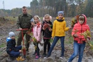 Майбутній ліс руками школярів