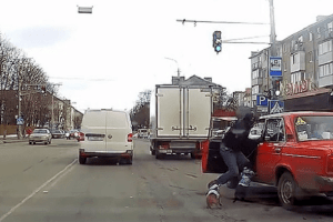 Пустив одного собаку в салон: у Луцьку чоловік із таксами накинувся на водія (Відео)